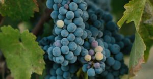 Industrial Supplies Co.