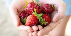 Industrial Supplies Co.